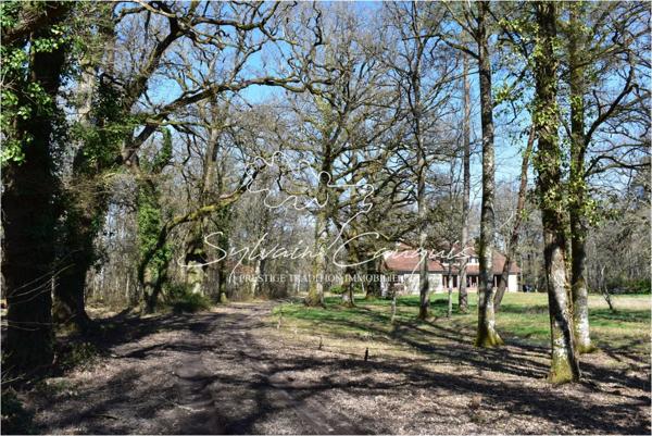 Propriété de Chasse ou d'Agrément de 60 hectares en Sologne