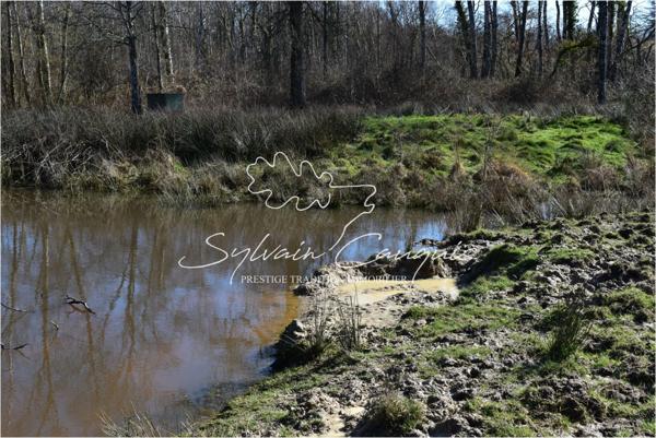 Propriété de Chasse ou d'Agrément de 60 hectares en Sologne