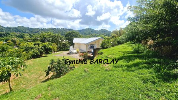 Villa d'architecte à LE ROBERT (97231)