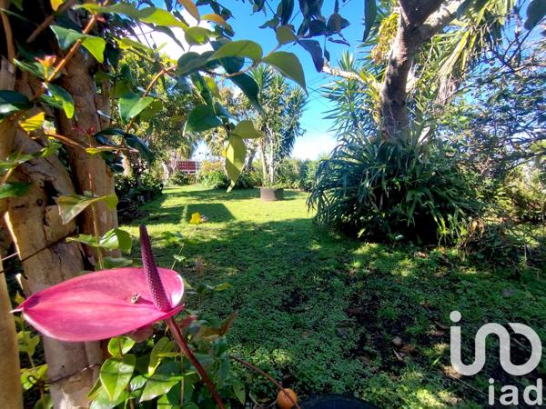 Maison à vendre 4 pièces 86 m² Les Avirons