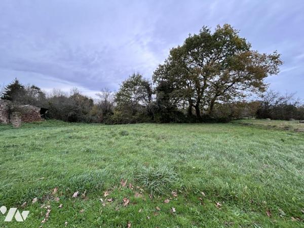 CHAUMES EN RETZ - Terrain à bâtir  1137m²