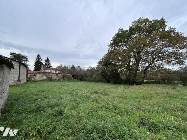 CHAUMES EN RETZ - Terrain à bâtir  1137m²