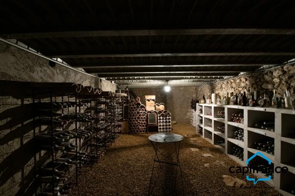 Magnifique Maison de Caractère, Proximité centre ville, calme, sans vis à vis, piscine, garage, annexe sur 462m2 de terrain