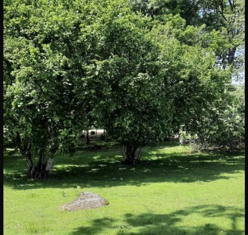 Terrain à vendre |  Nontron |  4928 m²