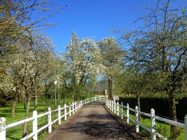 Ensemble immobilier Gîtes-Chambre d'Hôtes- événementiel à vendre- 23 pièces Proche de CLECY (14)