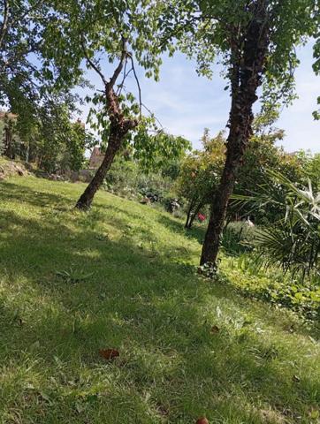 Maison à vendre 5 pièces SAINT JEAN DU FALGA (09)