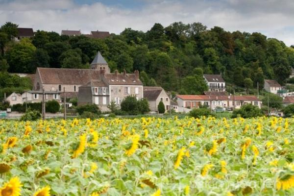 Terrain de 1 046 m²