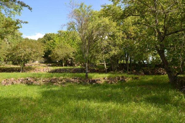 Terrain à Batir à vendre à Montréal en Ardèche (07110), ref : 07068-709