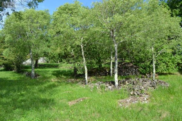 Terrain à Batir à vendre à Montréal en Ardèche (07110), ref : 07068-709