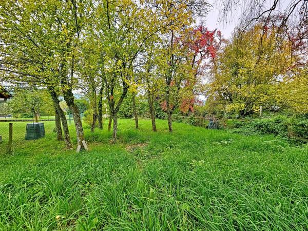 Ferme rénovée à VIUZ EN SALLAZ (74)