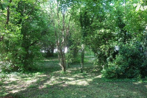 Terrain à bâtir arboré de 1567m² - non viabilisé