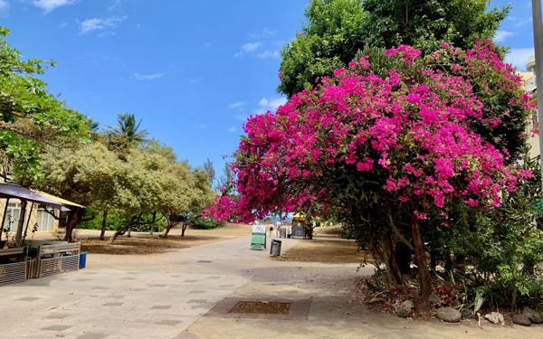 Appartement à vendre    3 pièces • 120 m2 Saint-Paul