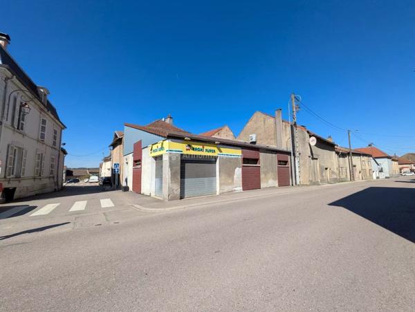 Vente                                                      Local commercial
                        
                                         133 m2                     à Coussey