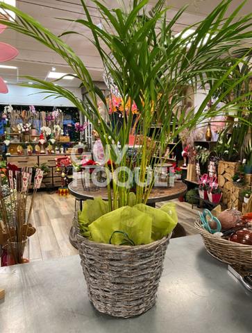 AUXONNE FONDS COMMERCE FLEURISTE