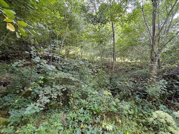 Terrain à vendre |  Ustou |  970 m²