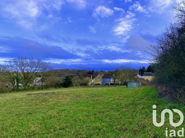 Terrain à vendre 6 165 m² Saints-en-Puisaye