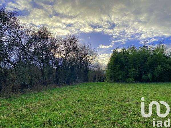 Terrain à vendre 6 165 m² Saints-en-Puisaye