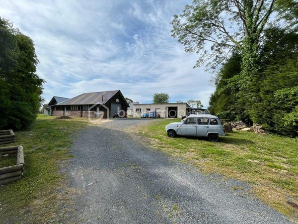 Local d'activités de 375 m²