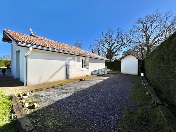Ferme landaise rénovée, 5 chambres, piscine et dépendance
