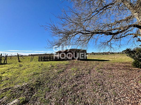 Ferme landaise rénovée, 5 chambres, piscine et dépendance