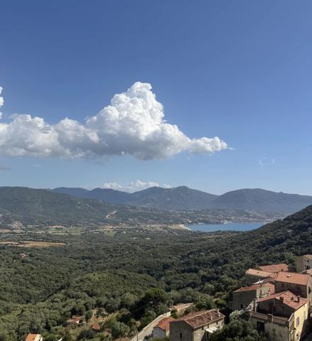 Vente Duplex 4 pièces 111 m2 à Olmeto