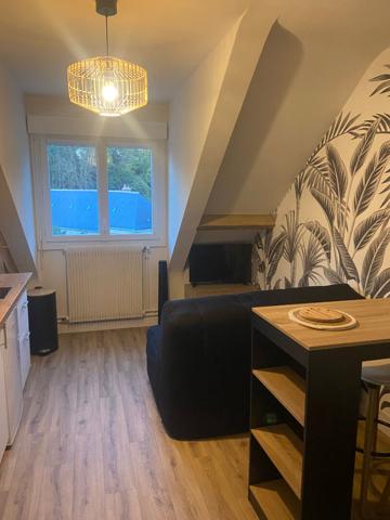 Studio Amboise 15 m²