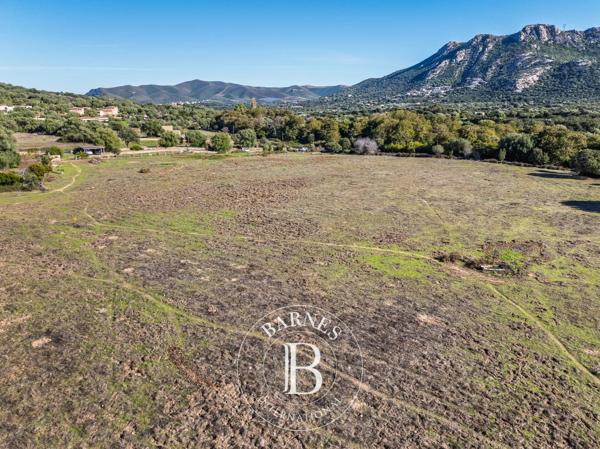 L'Île-Rousse, Terrain constructible  4 000 m² à vendre