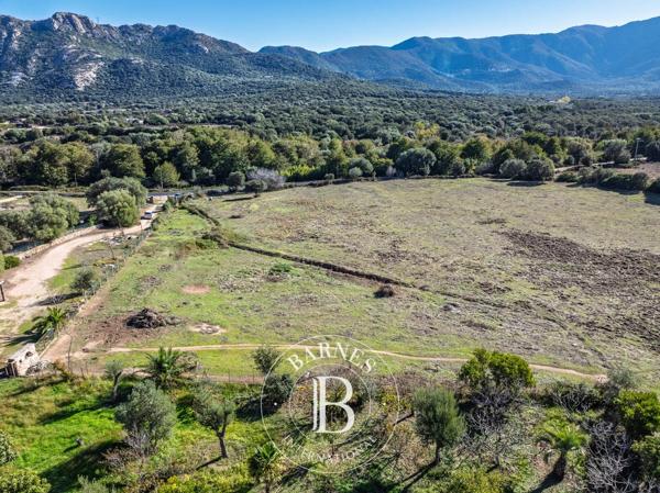 L'Île-Rousse, Terrain constructible  4 000 m² à vendre