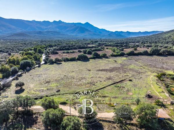 L'Île-Rousse, Terrain constructible  4 000 m² à vendre