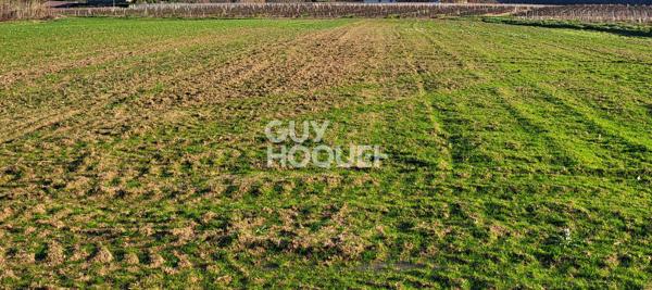 Terrain à bâtir non viabilisé - Vue sur le Mont-Brouilly !