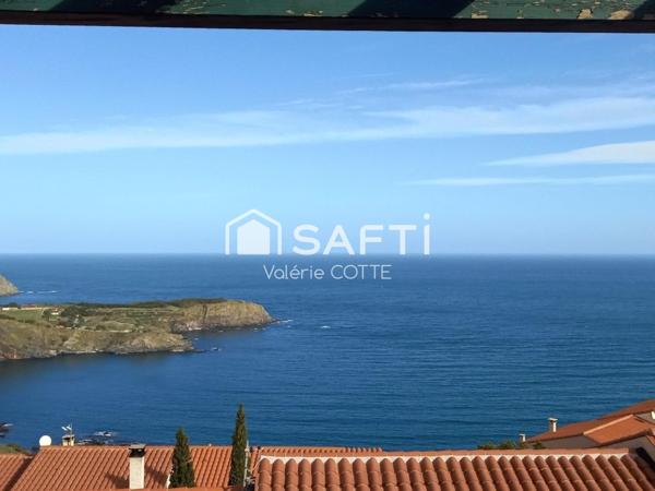 LA VUE SUR LA GRANDE BLEUE...SPACIEUX.....CHALEUREUX