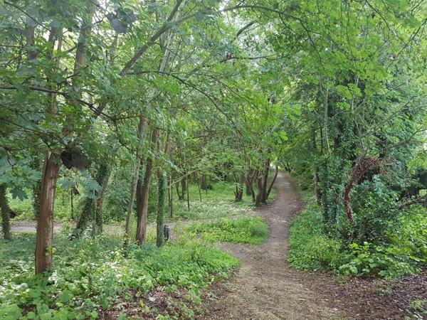 Idéal pour une grande famille et investisseur