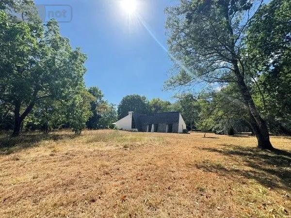 Achat - Maison | Maison Moëlan-sur-Mer 29350 8 pièces 158 m 2 11388 m 2