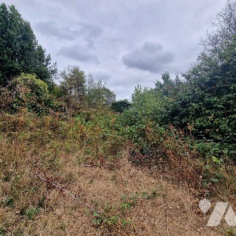 A vendre, maison à rénover, couverture à refaire, comprenant 2 pièces de vie, dépendance et terrain