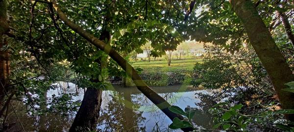 Maison à rénover à MONTGUYON (17270)