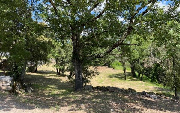 Vente Terrain Constructible Aubenas   