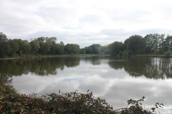 Terrain à CIRAL, 61320 - 67340m²