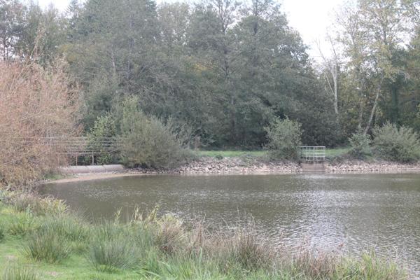 Terrain à CIRAL, 61320 - 67340m²