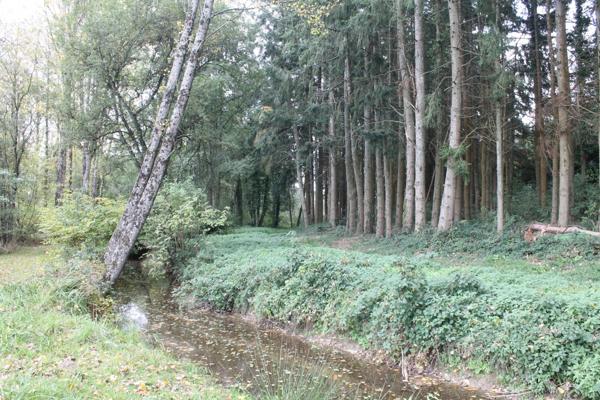 Terrain à CIRAL, 61320 - 67340m²