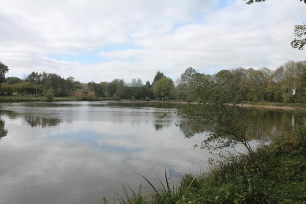 Terrain à CIRAL, 61320 - 67340m²