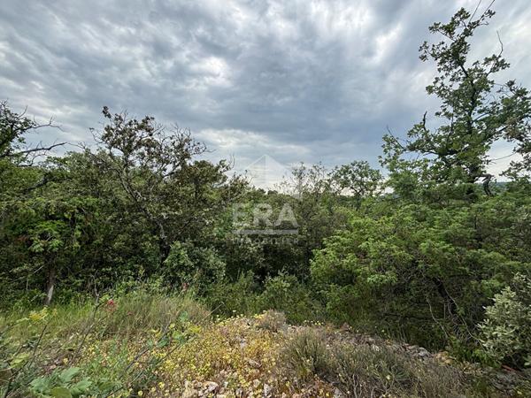 Domaine forestier Blauvac 14210 m2