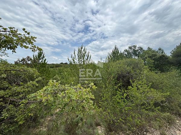 Domaine forestier Blauvac 14210 m2