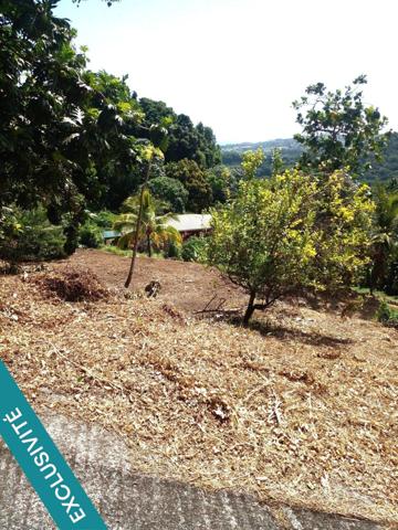 Je vous propose un terrain de 886m² sur les hauteurs de la commune du Robert,