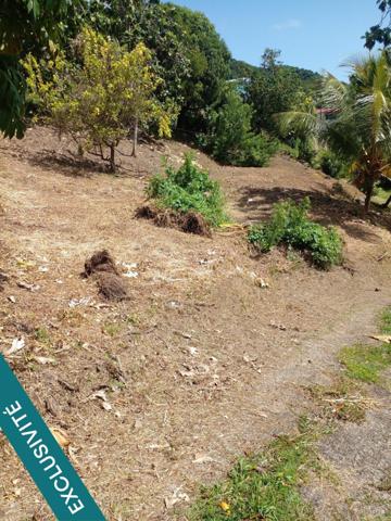 Je vous propose un terrain de 886m² sur les hauteurs de la commune du Robert,