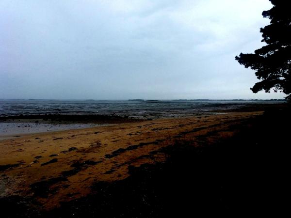 Maison à vendre 5 pièces SARZEAU 56370 Morbihan Bretagne sud