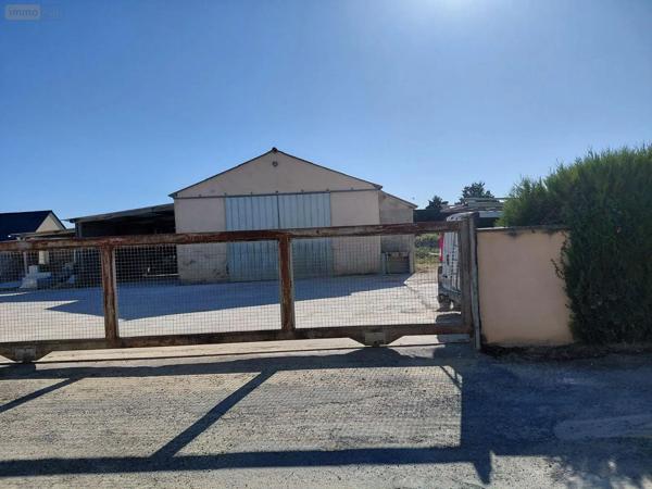Location - Fonds et/ou murs commerciaux Souligné-sous-Ballon 72290 105 m 2 1000 m 2