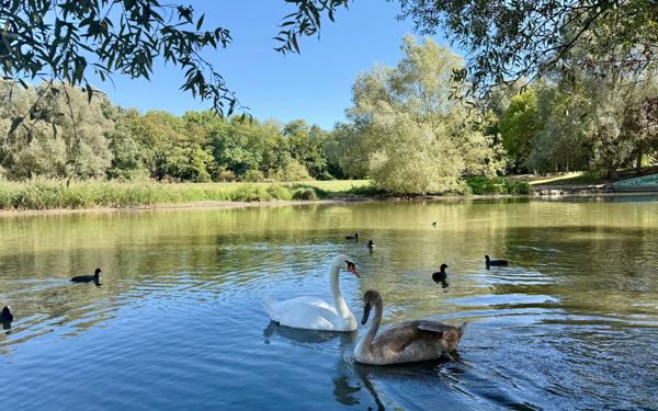 Appartement à vendre    7 pièces • 116 m2 Chilly-Mazarin