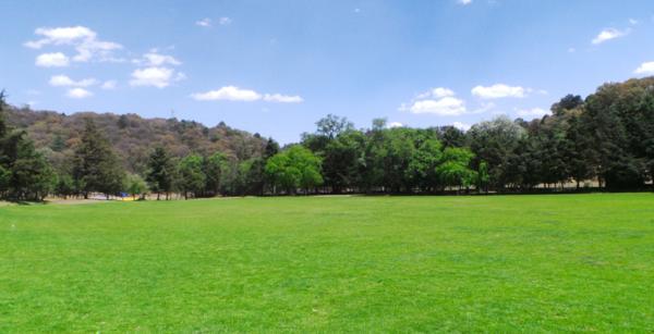 Terrain à Bâtir à Boussy Saint Antoine