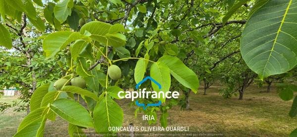 Propriété de charme au coeur de la nature à vendre 6 pièces et 124763m² de PUJOLS (47)