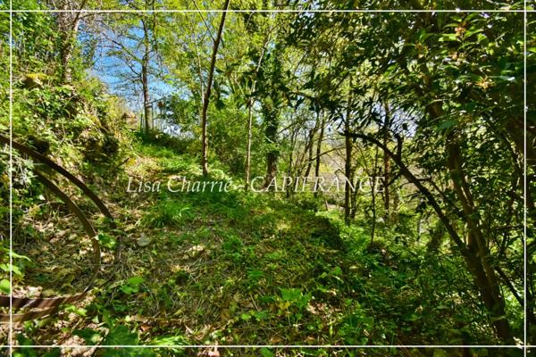 Maison à vendre 5 pièces proche de VIC FEZENSAC (32) 5 pièces de 100 m2 habitables avec 318 m2 de terrain divisé en 3 parcelles non attenantes